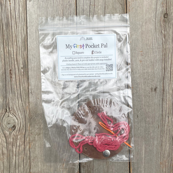 My First Pocket Pal: Circle